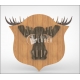 3d moose design