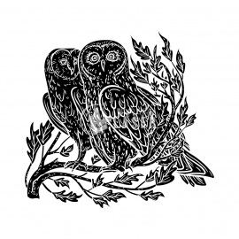 Owl Design