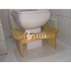 toilet chair