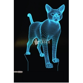 Engraved cat
