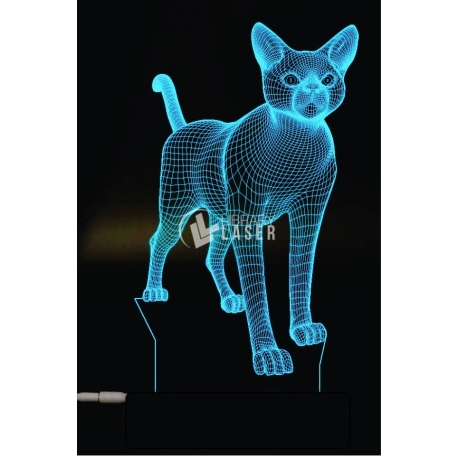 Engraved cat