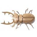 Escarabajo diseño