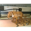 3d tiger design