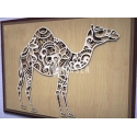 Camello diseño