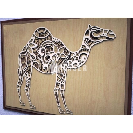 Camel design