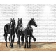 Horses