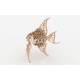 Pack of 50 laser cutting files 1