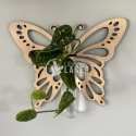 Butterfly Wood Design Propagation Station Wood Plant Station