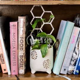 Indoor Plant Trellis Mini Plant Support