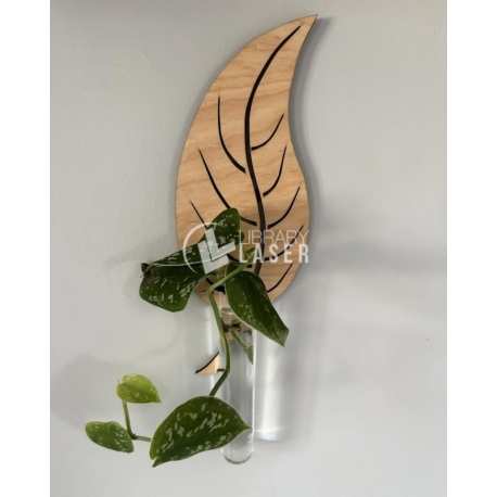 Leaf Shaped Wall Planters For Indoor Plants Plant Propagation Station Wall Decor