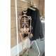 Decorative human skeleton laser cut design