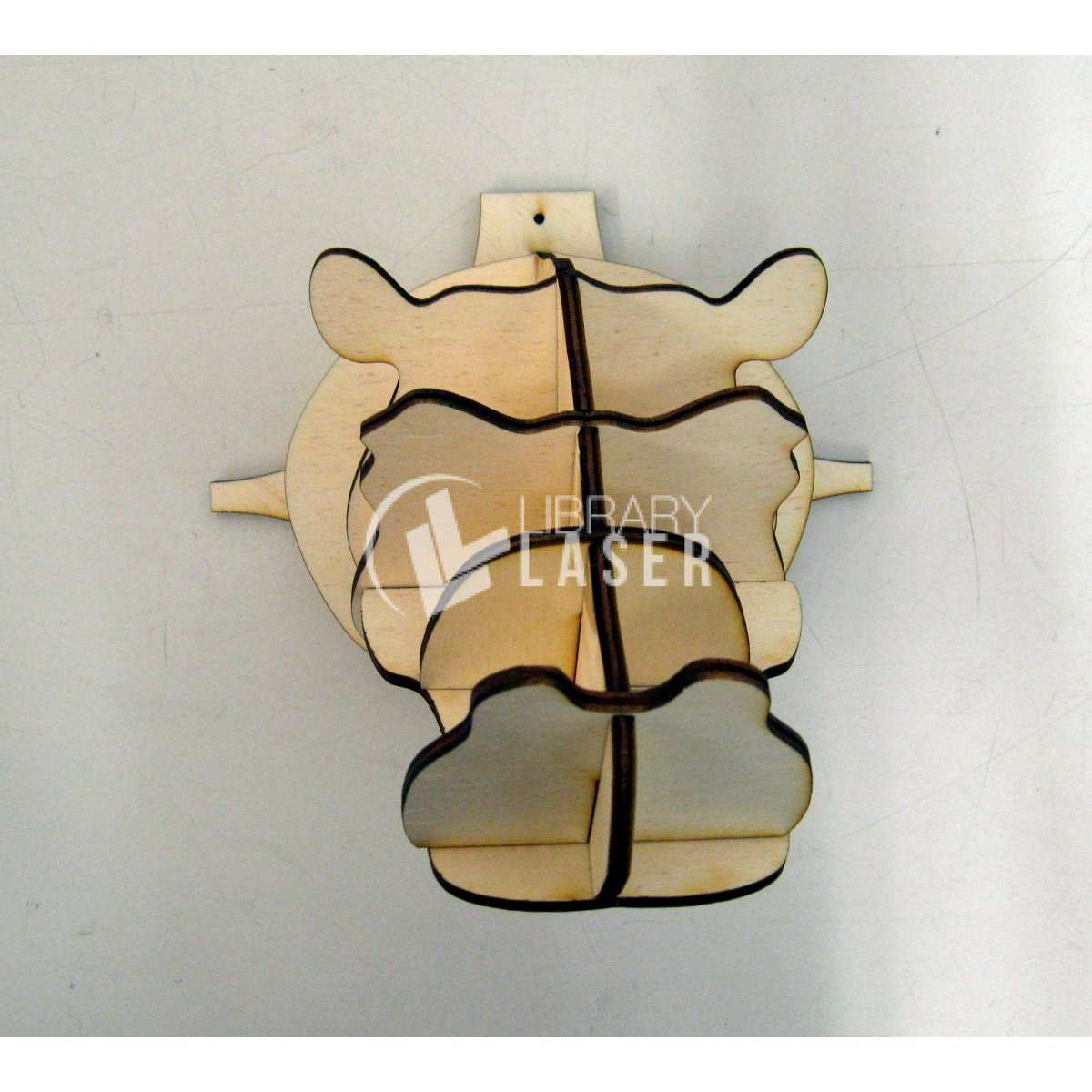 Trofeo cabeza de hipopótamo pared archivo