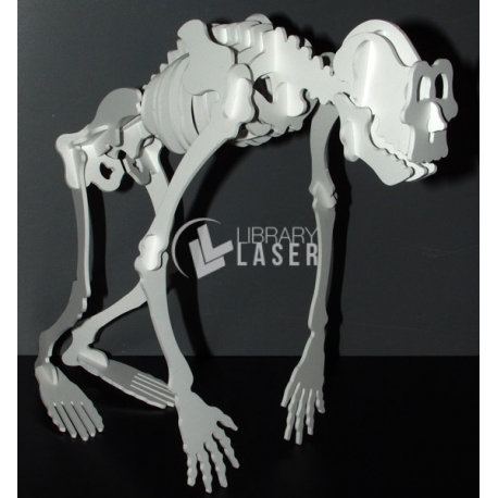 Monkey Skeleton Design