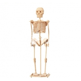Skeleton Design