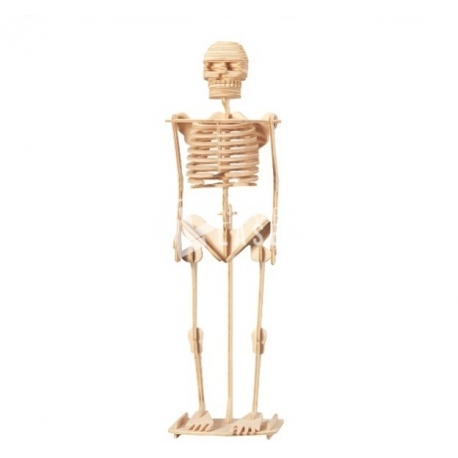 Skeleton Design